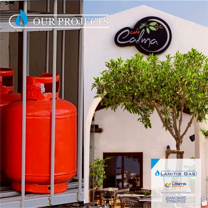 Lanitis Gas - Projects