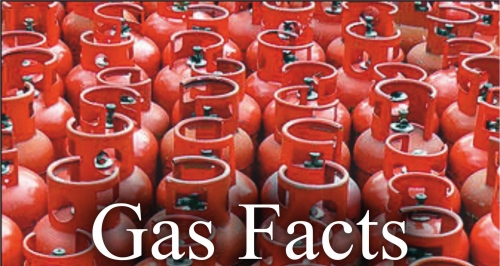 Lanitis Gas - Facts