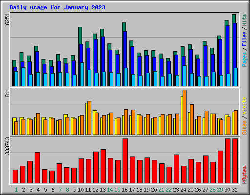 Daily usage for January 2023