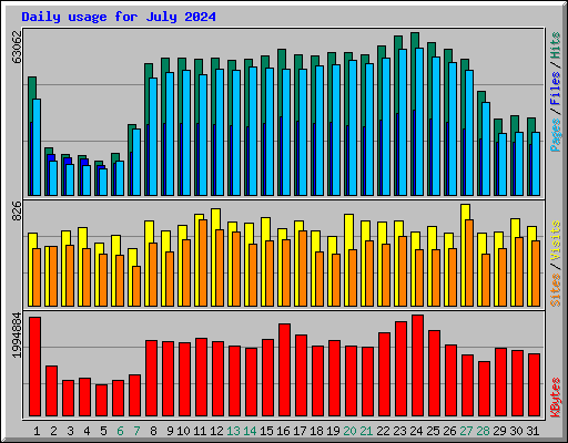 Daily usage for July 2024