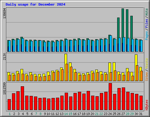 Daily usage for December 2024