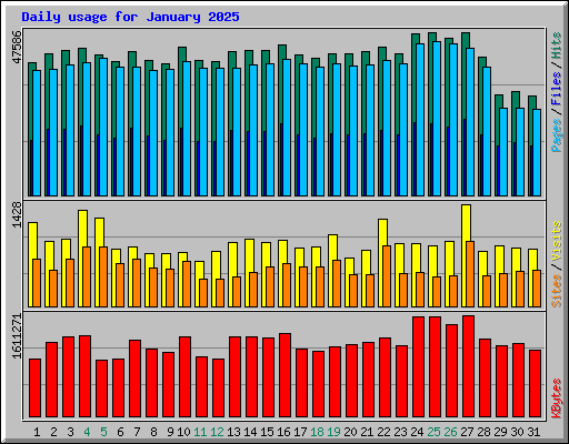 Daily usage for January 2025