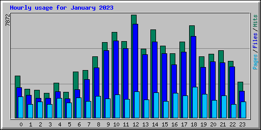 Hourly usage for January 2023