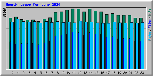 Hourly usage for June 2024