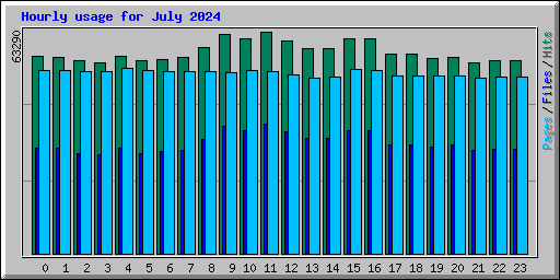 Hourly usage for July 2024