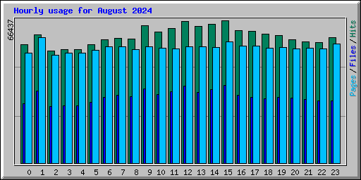 Hourly usage for August 2024
