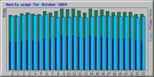 Hourly usage for October 2024
