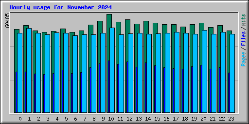 Hourly usage for November 2024