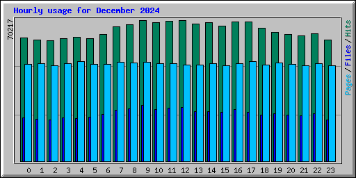 Hourly usage for December 2024