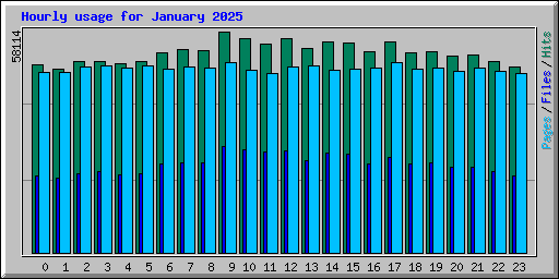 Hourly usage for January 2025