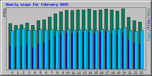 Hourly usage for February 2025