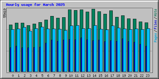 Hourly usage for March 2025