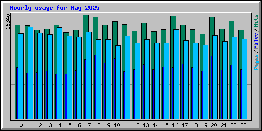 Hourly usage for May 2025