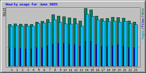 Hourly usage for June 2025