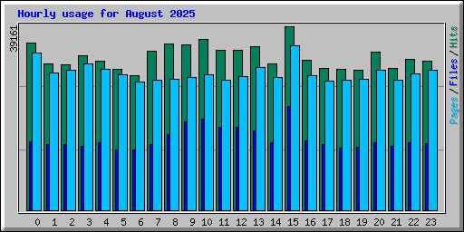 Hourly usage for August 2025