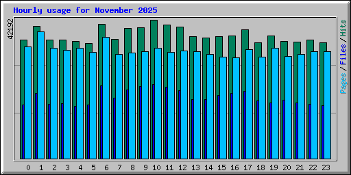 Hourly usage for November 2025