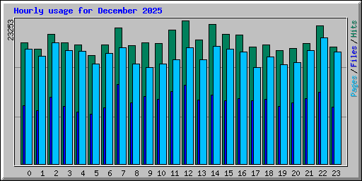 Hourly usage for December 2025